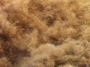 Before Processing